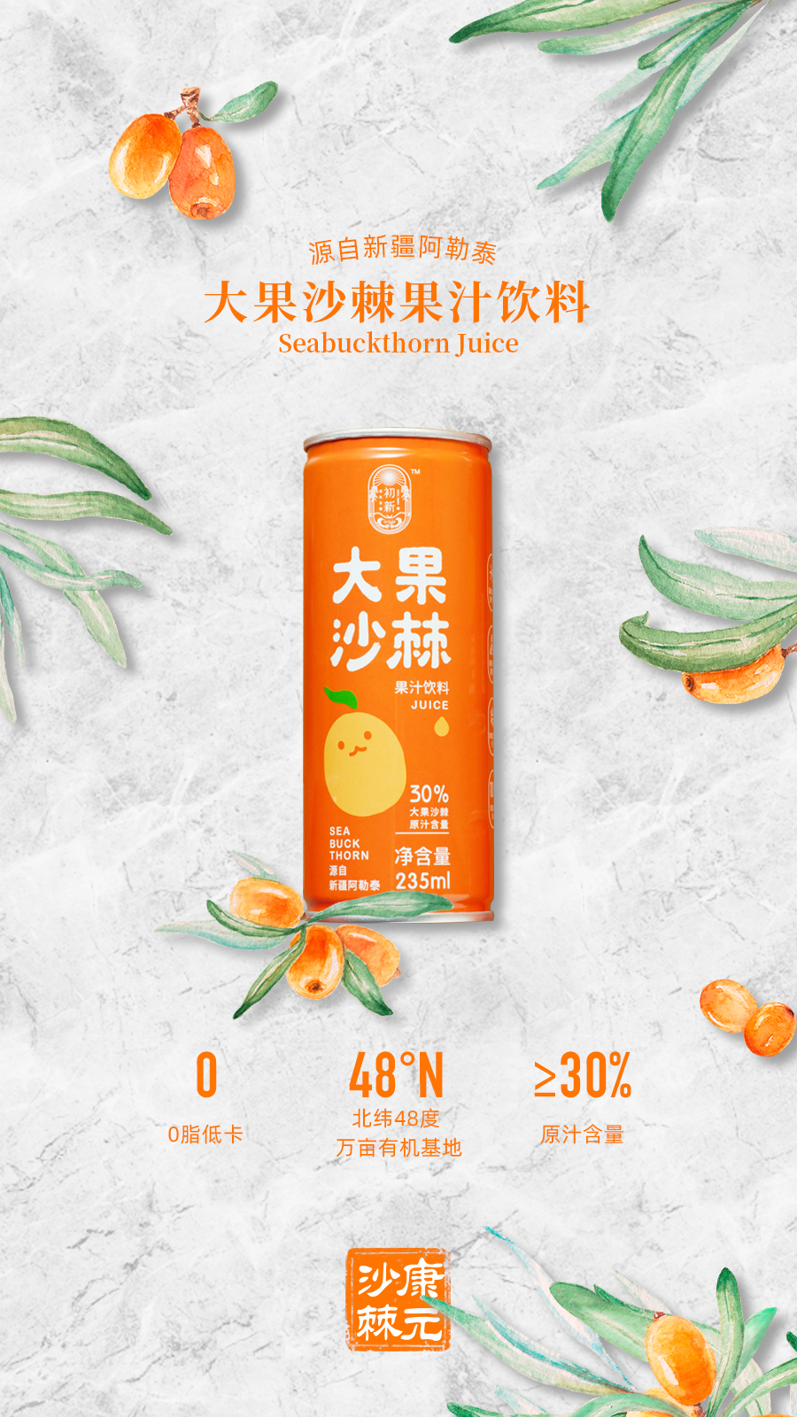 大果沙棘果汁-易拉罐.jpg